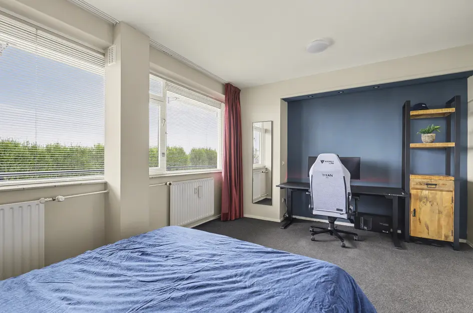 Johan de Wittstraat 218