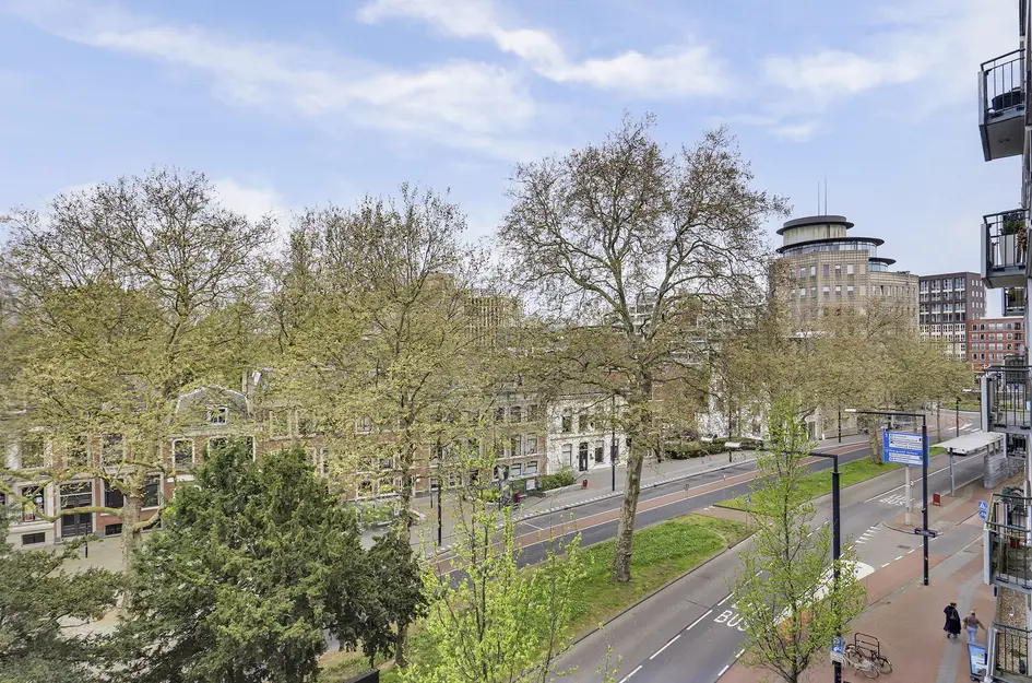 Johan de Wittstraat 218