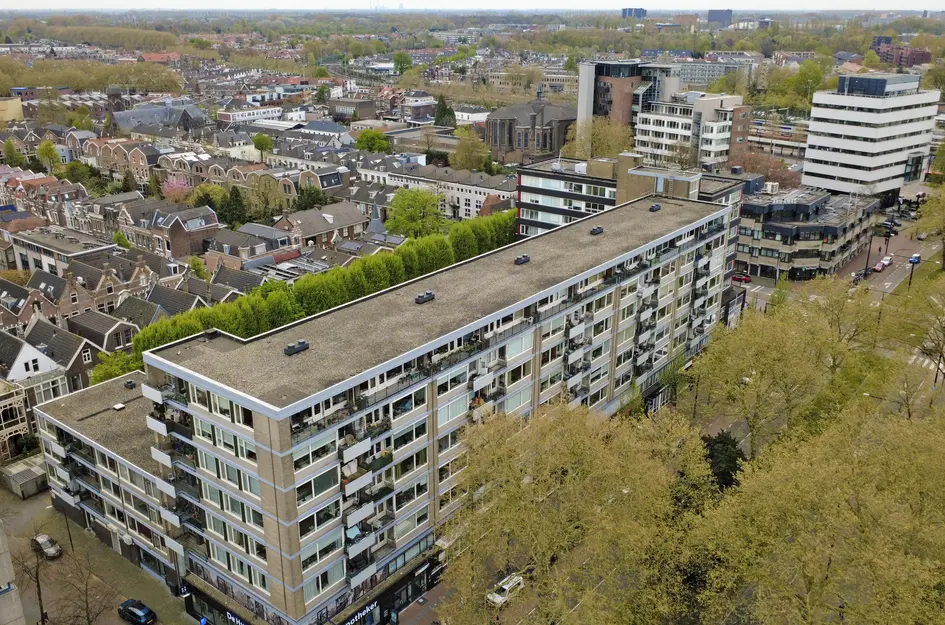 Johan de Wittstraat 218