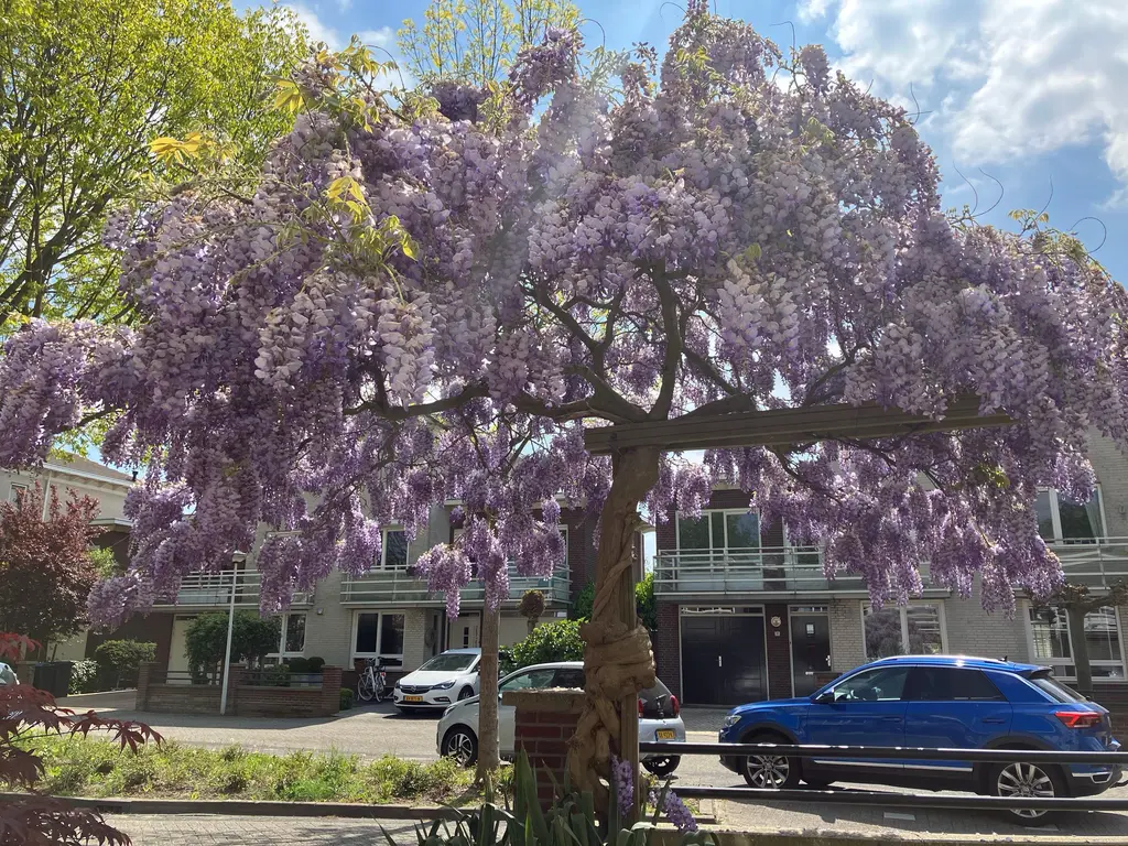Spinnaker 2, PAPENDRECHT