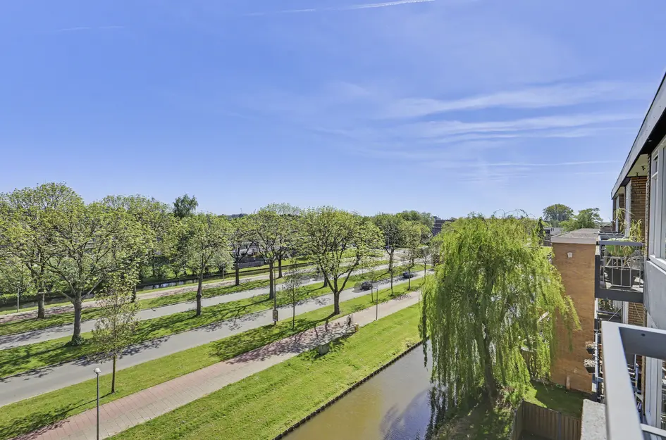 Zonnebloemstraat 118