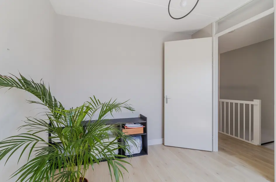 van Ruisdaelstraat 54