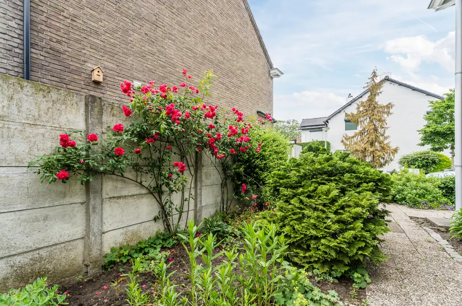 Beatrixstraat 3