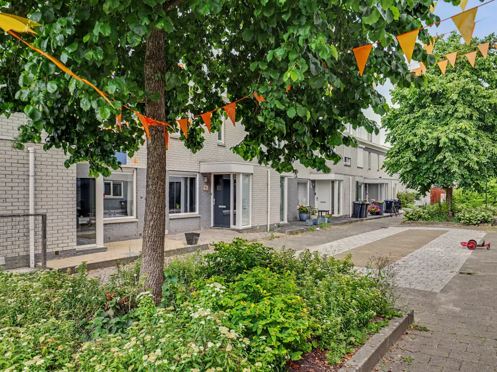 Palissander 60, DORDRECHT