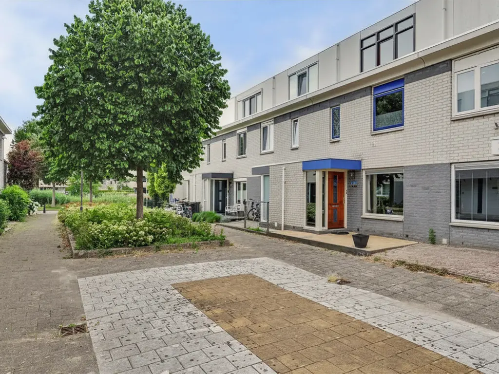 Palissander 60, DORDRECHT