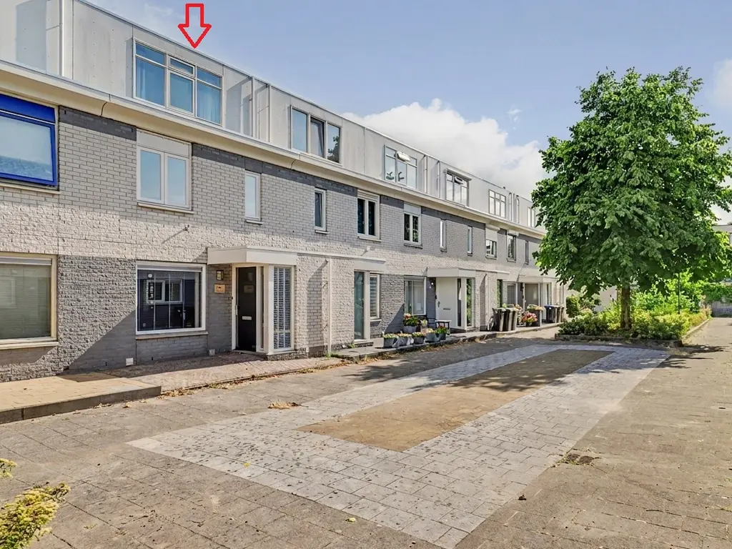 Palissander 59, DORDRECHT