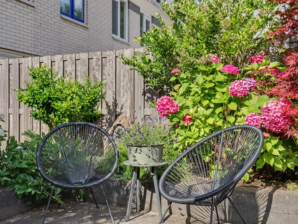 Palissander 59, DORDRECHT