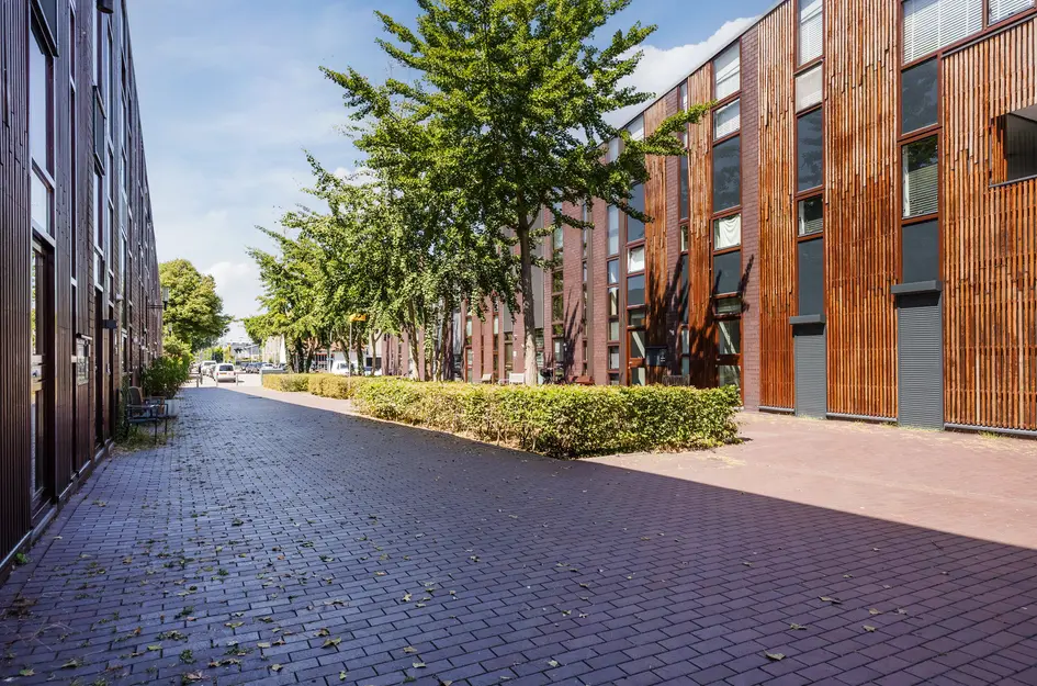 Klokjesbloem 7