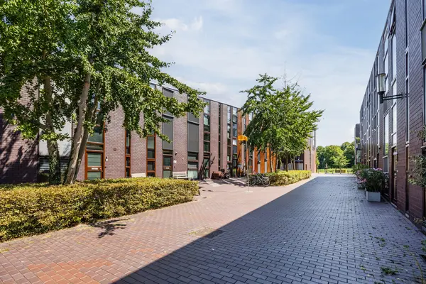 Klokjesbloem 7
