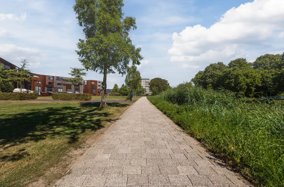 Klokjesbloem 7
