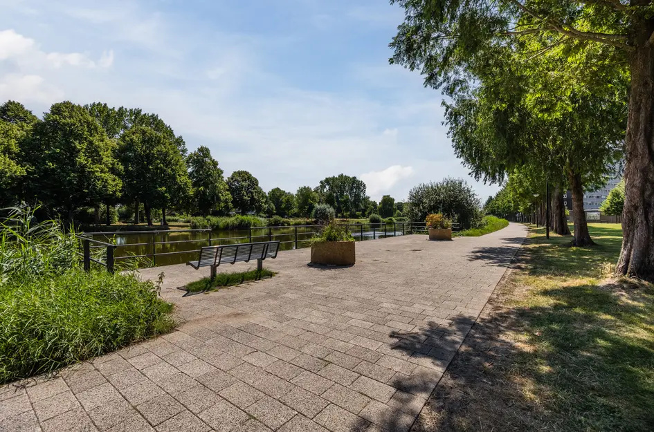 Klokjesbloem 7