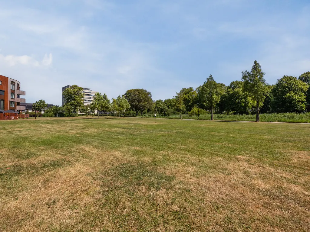 Klokjesbloem 7, PAPENDRECHT