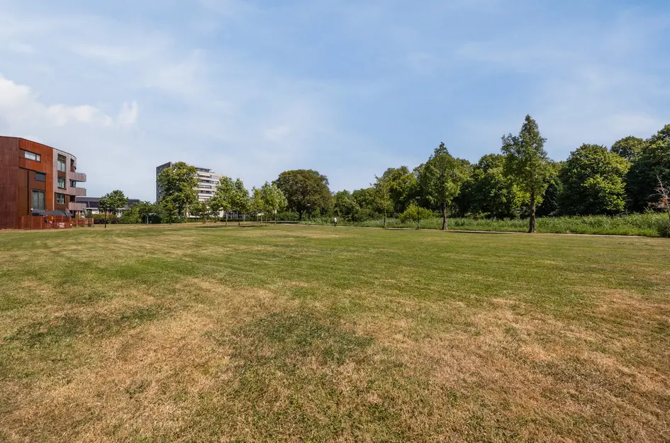 Klokjesbloem 7