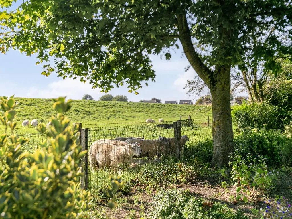 Princenhil 1, LAGE ZWALUWE