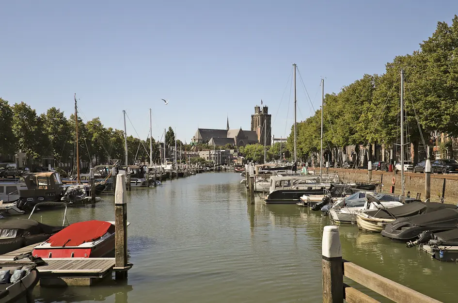Wolwevershaven 29