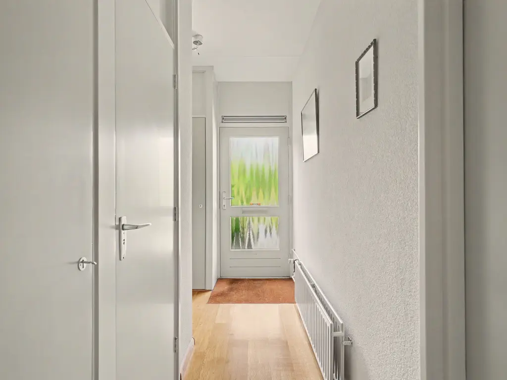 Domela Nieuwenhuisstraat 6, PAPENDRECHT