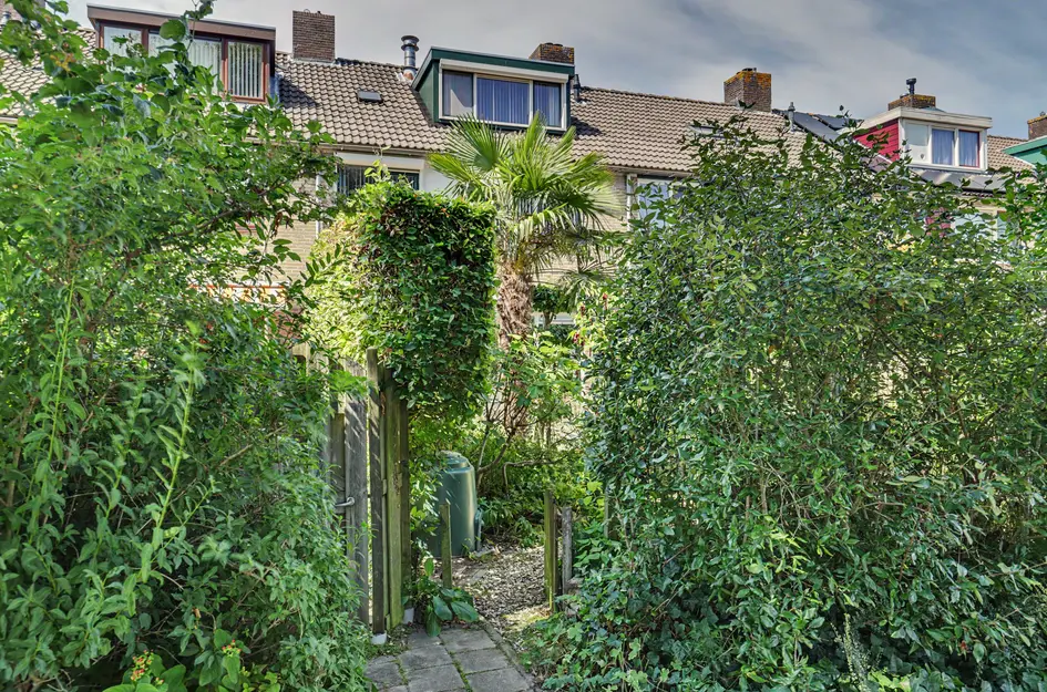 Domela Nieuwenhuisstraat 6