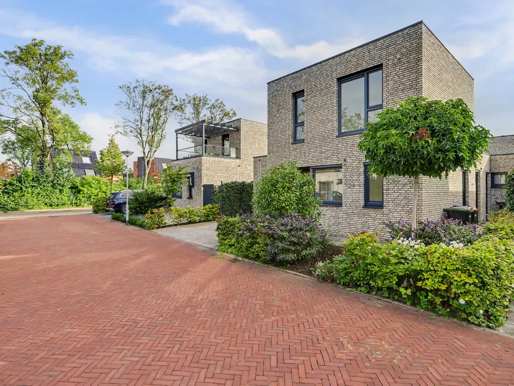 Bouquet 31, ZWIJNDRECHT