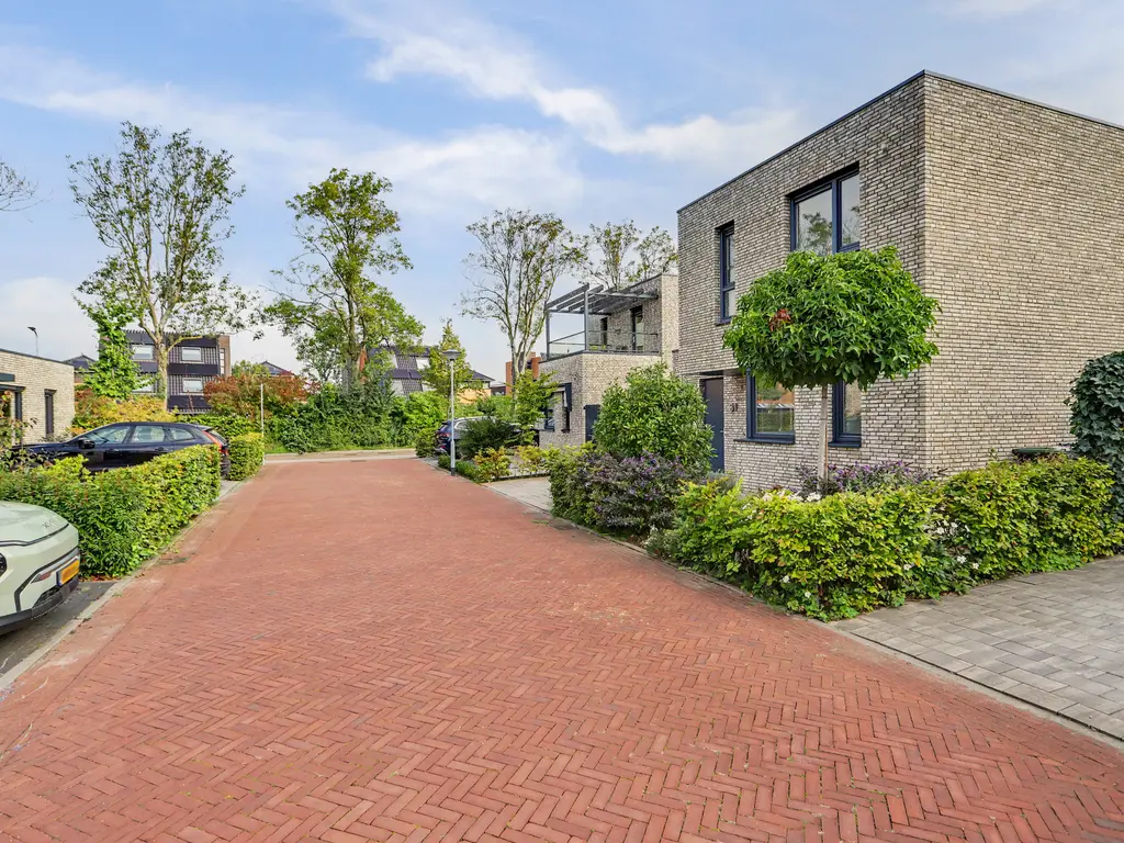 Bouquet 31, ZWIJNDRECHT