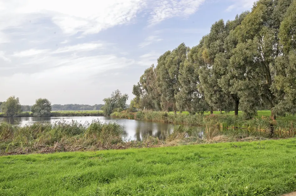 De Schutse 15