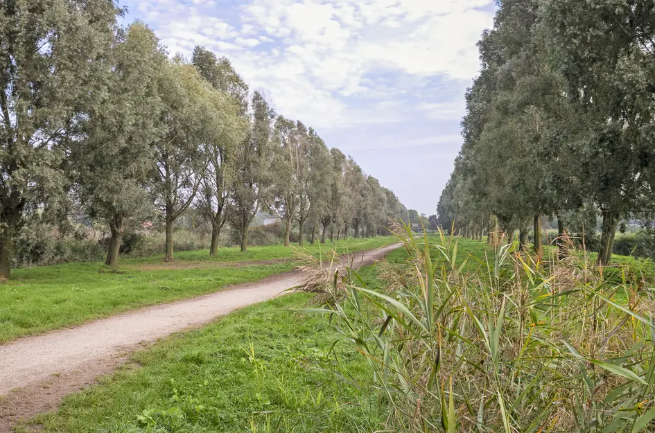 De Schutse 15