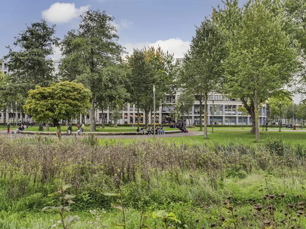 Prof. Gunninglaan 11, DORDRECHT