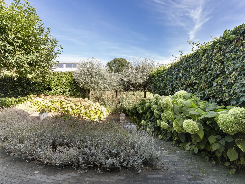 Burgemeester Beelaertspark 143, DORDRECHT