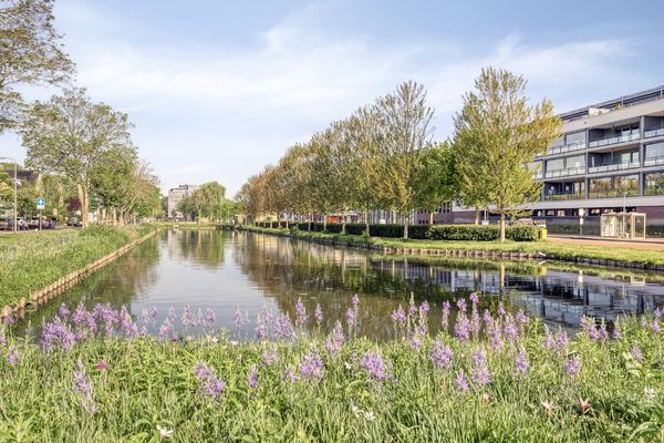 Passage 19, ZWIJNDRECHT