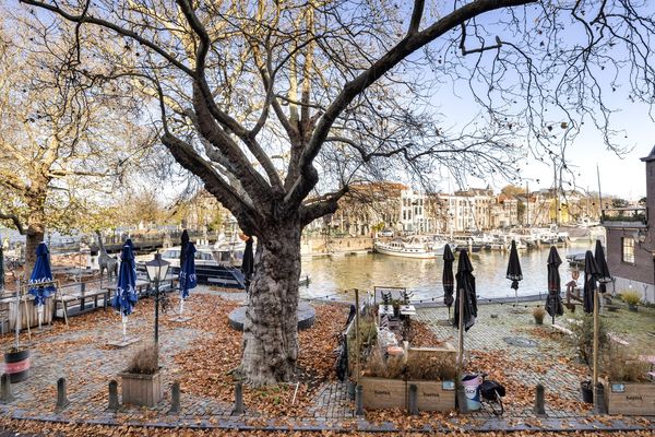 Houttuinen 32A, DORDRECHT