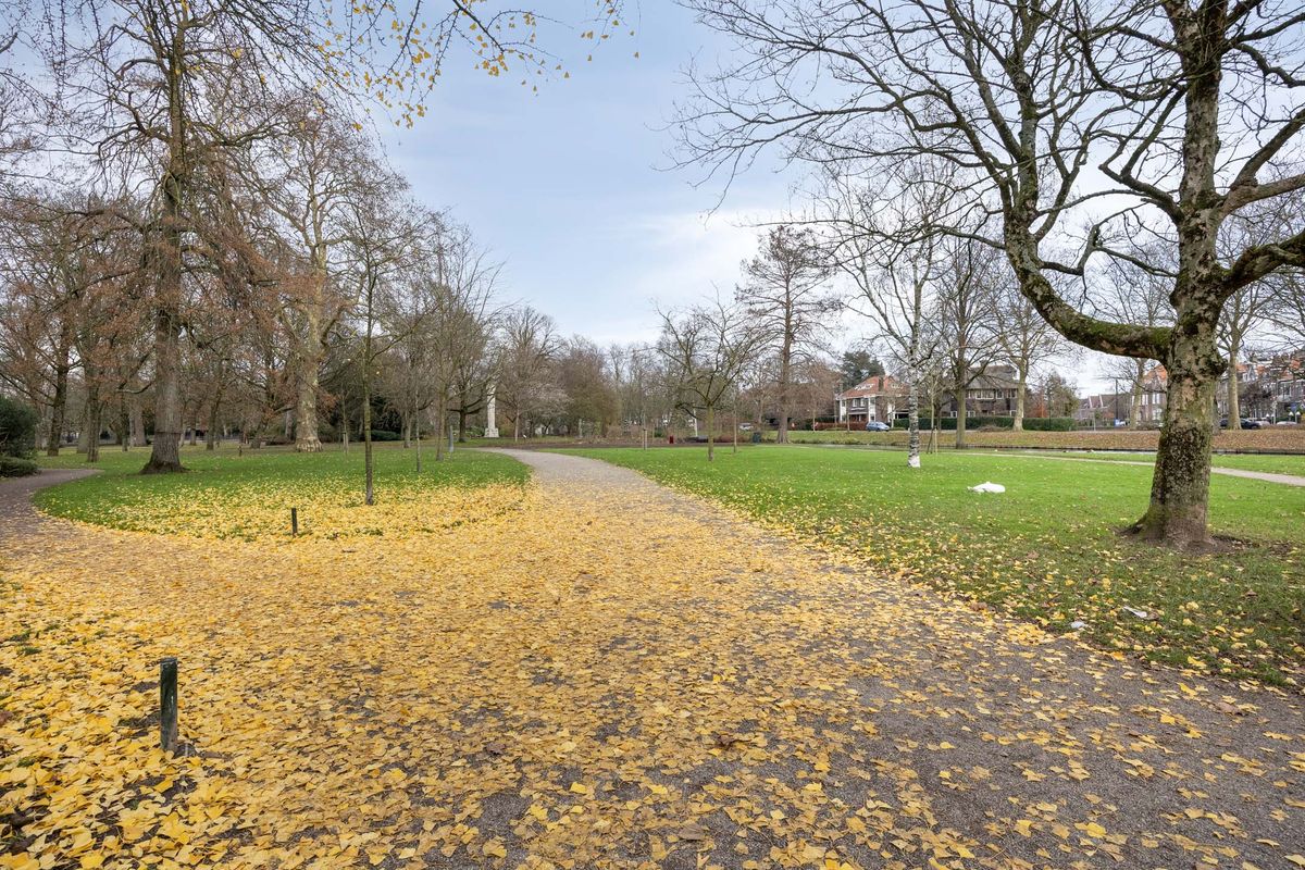 Vrieseweg 155, DORDRECHT