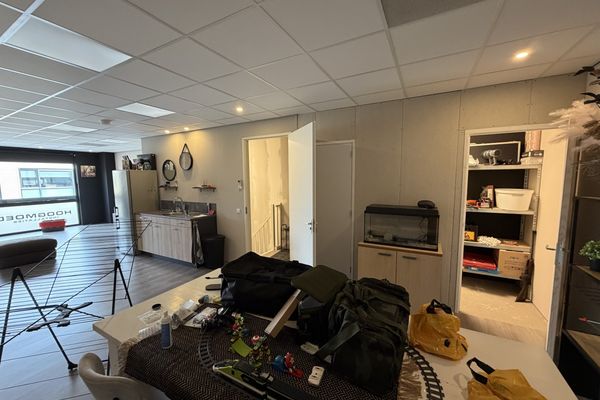 Olivijn 528, DORDRECHT