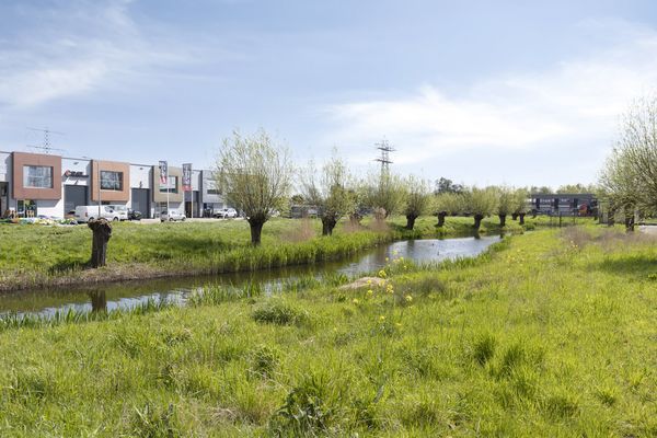 Robijn 800, DORDRECHT