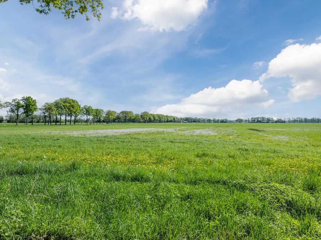 Eswal 3, ROLDE