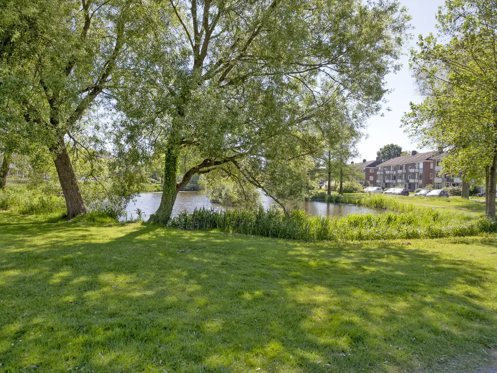 Buizerdstraat 28, ASSEN