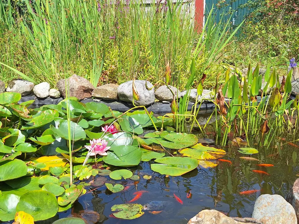 Noordenveldweg 114, DONDEREN