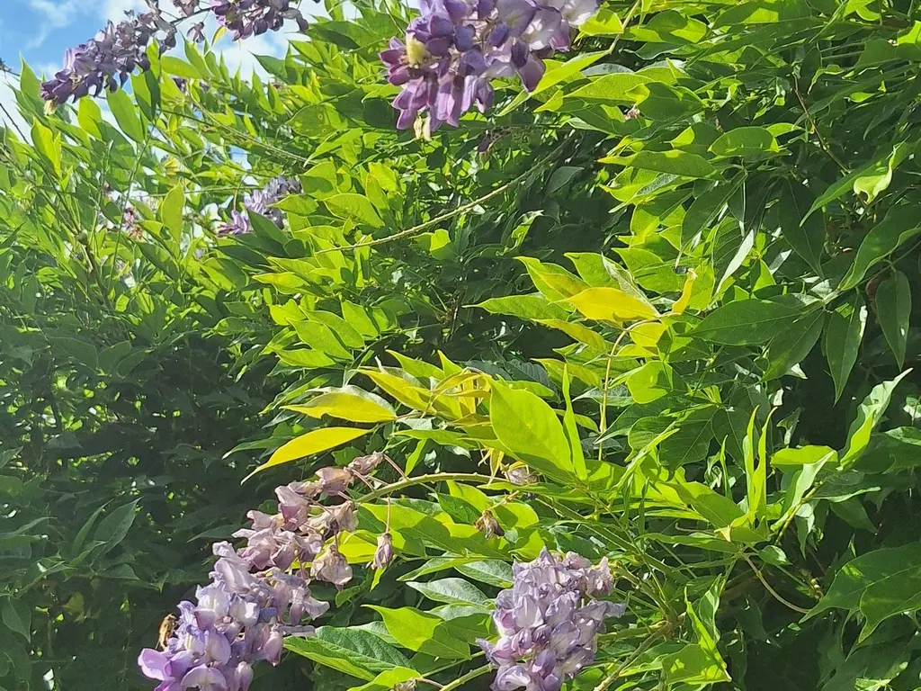 Noordenveldweg 114, DONDEREN