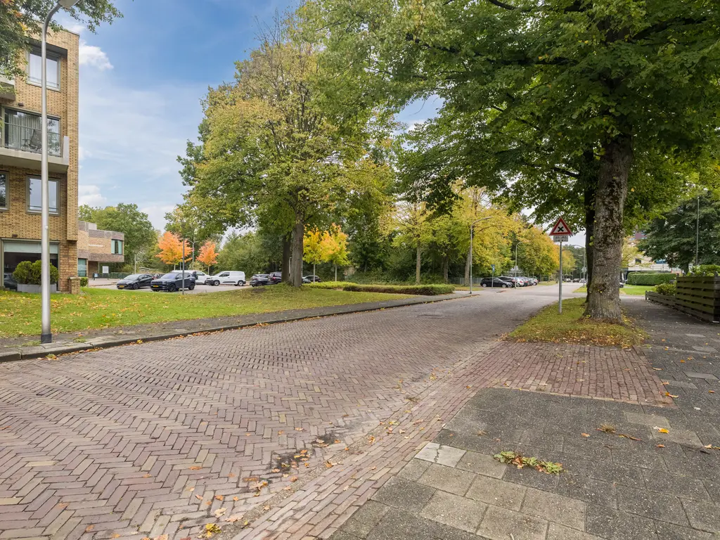 Brunelstraat 15, ASSEN