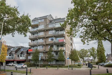 Steendijk 83