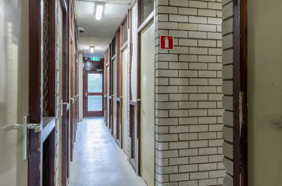 Steendijk 83