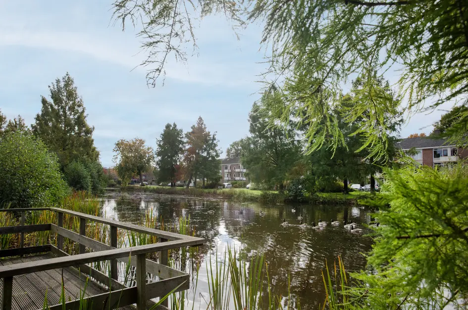 Steendijk 83