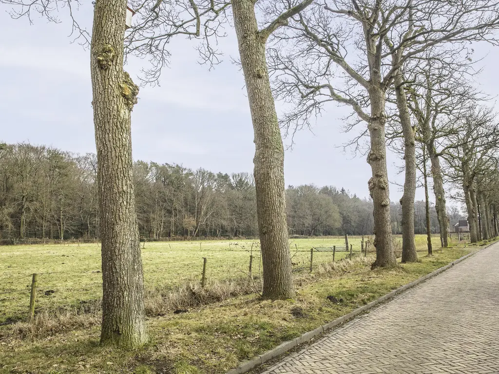 Broeklaan 14D, ASSEN