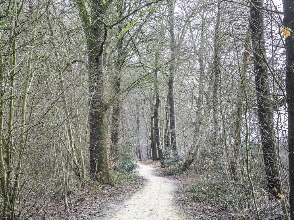 Broeklaan 14D, ASSEN