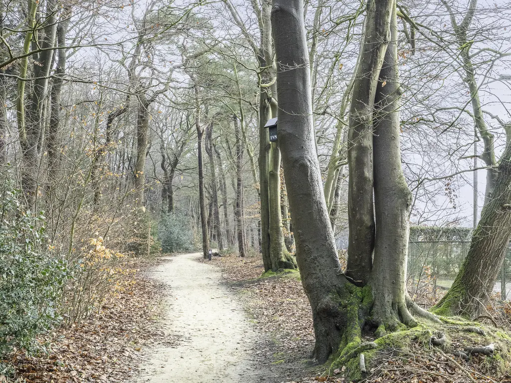 Broeklaan 14D, ASSEN