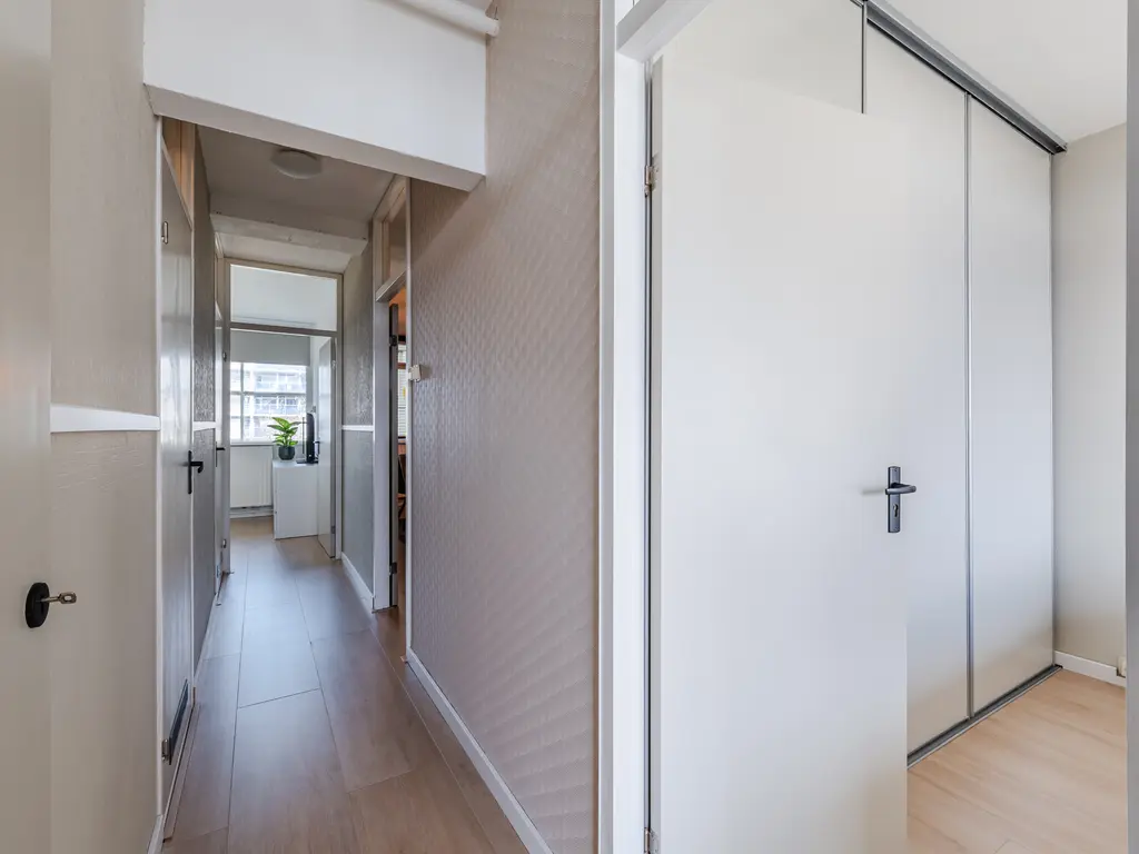 Smetanalaan 262, ASSEN