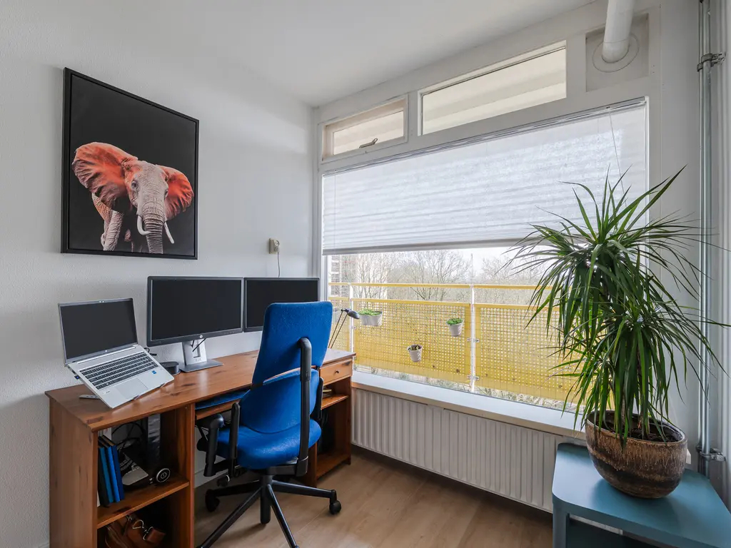 Smetanalaan 262, ASSEN