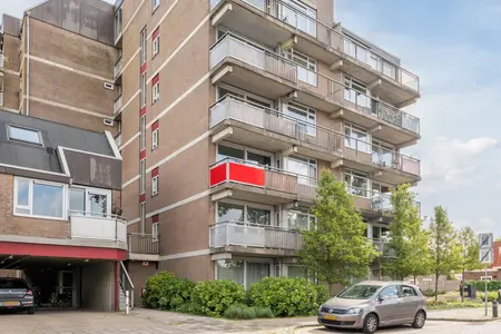 Steendijk 65