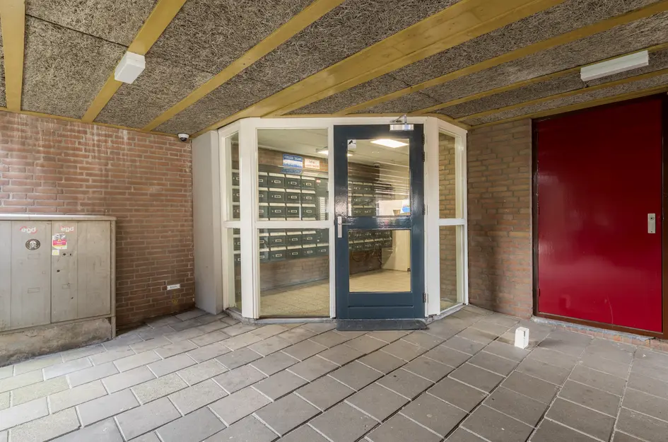 Steendijk 65