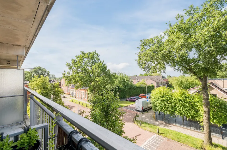 Steendijk 65