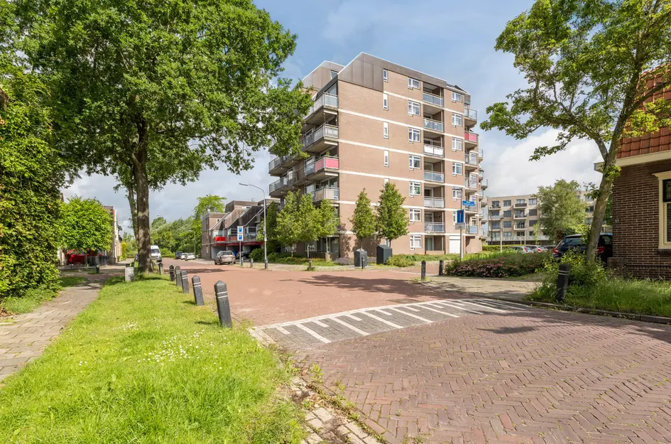 Steendijk 65