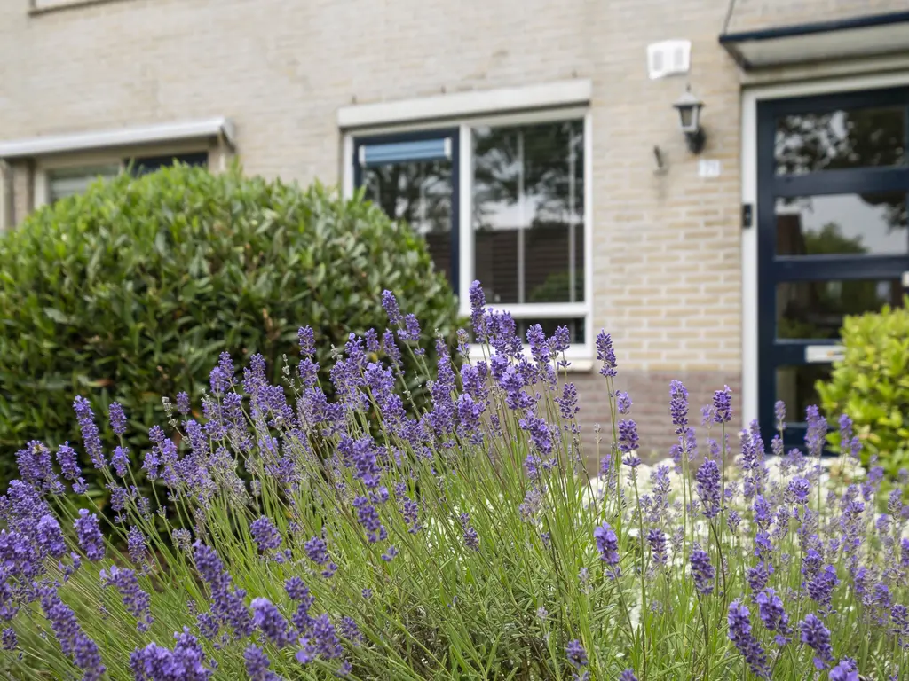 Hooibeemd 21, ASSEN